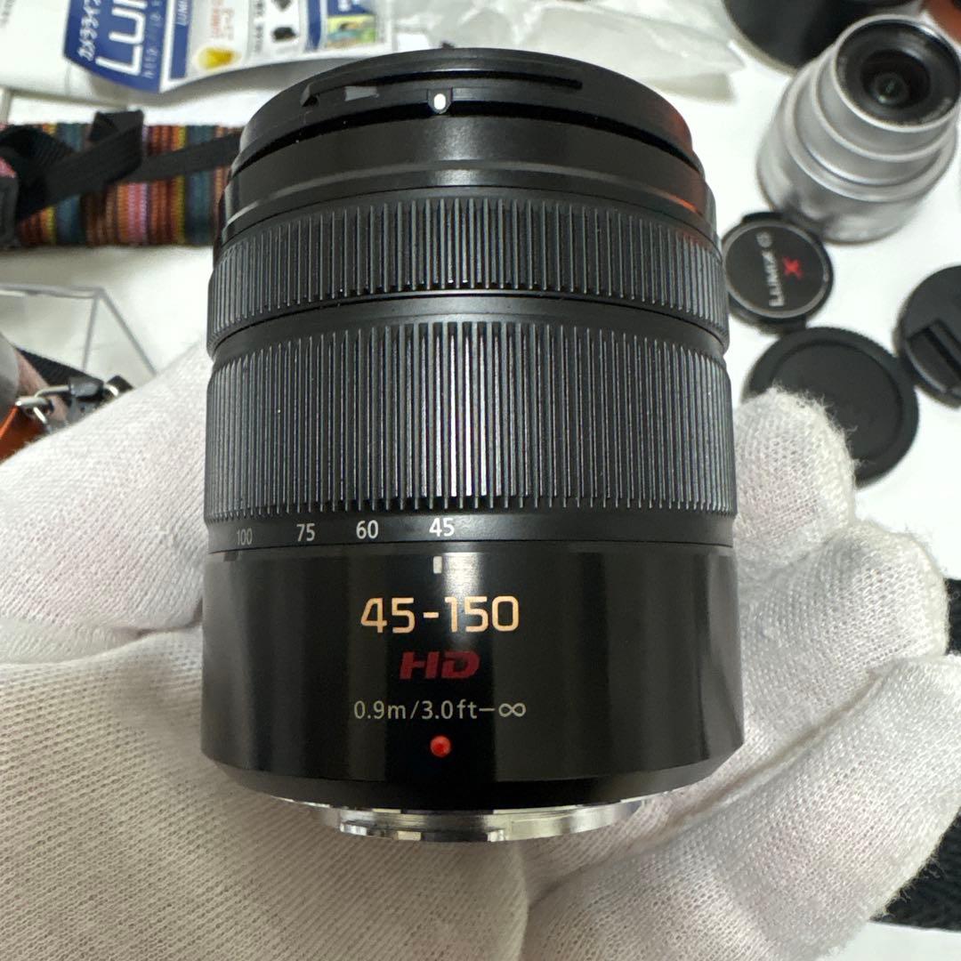 LUMIX G ミラーレス一眼カメラ DC-GF9W ダブルレンズキット+2点