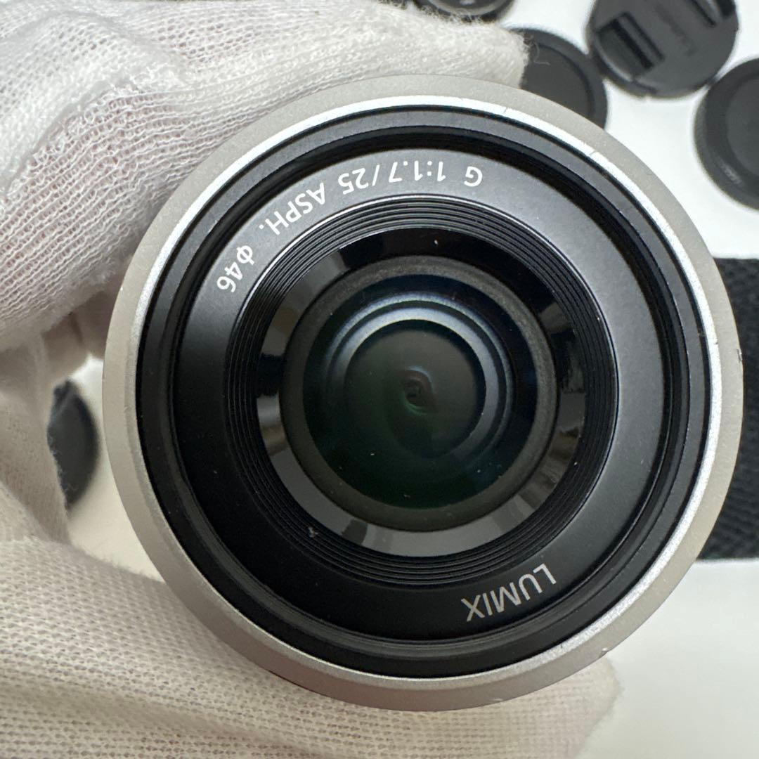 LUMIX G ミラーレス一眼カメラ DC-GF9W ダブルレンズキット+2点