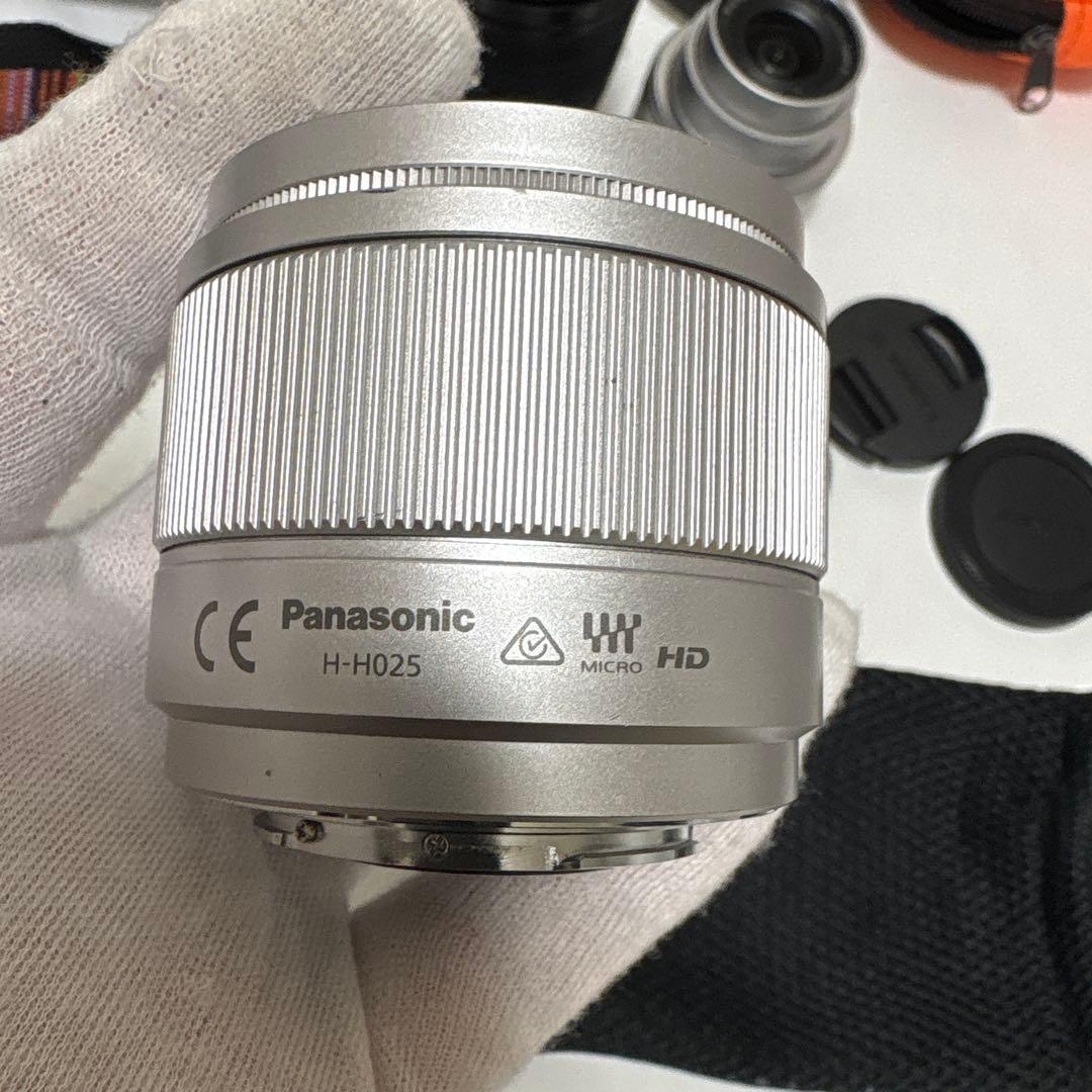 LUMIX G ミラーレス一眼カメラ DC-GF9W ダブルレンズキット+2点