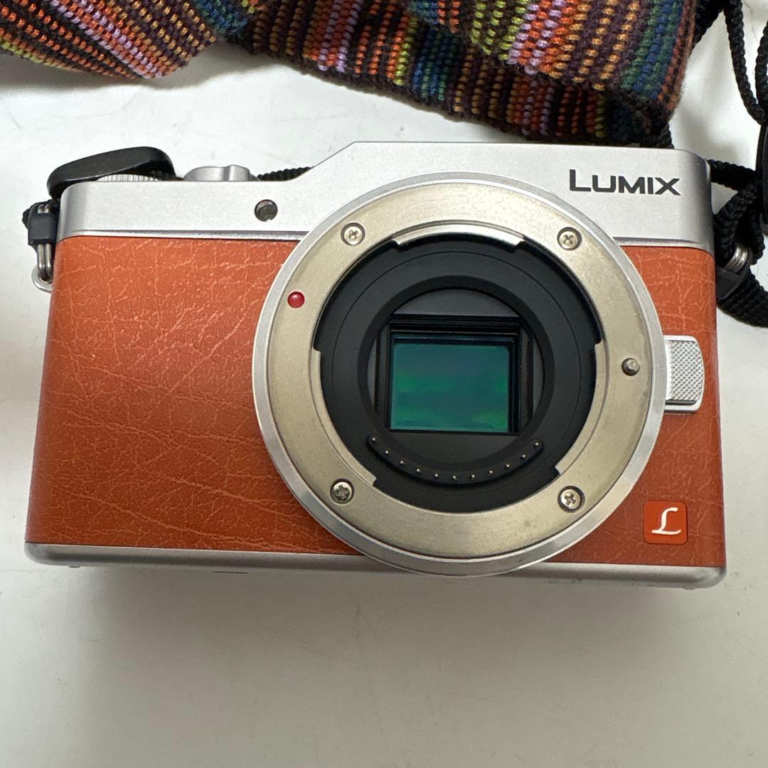 LUMIX G ミラーレス一眼カメラ DC-GF9W ダブルレンズキット+2点