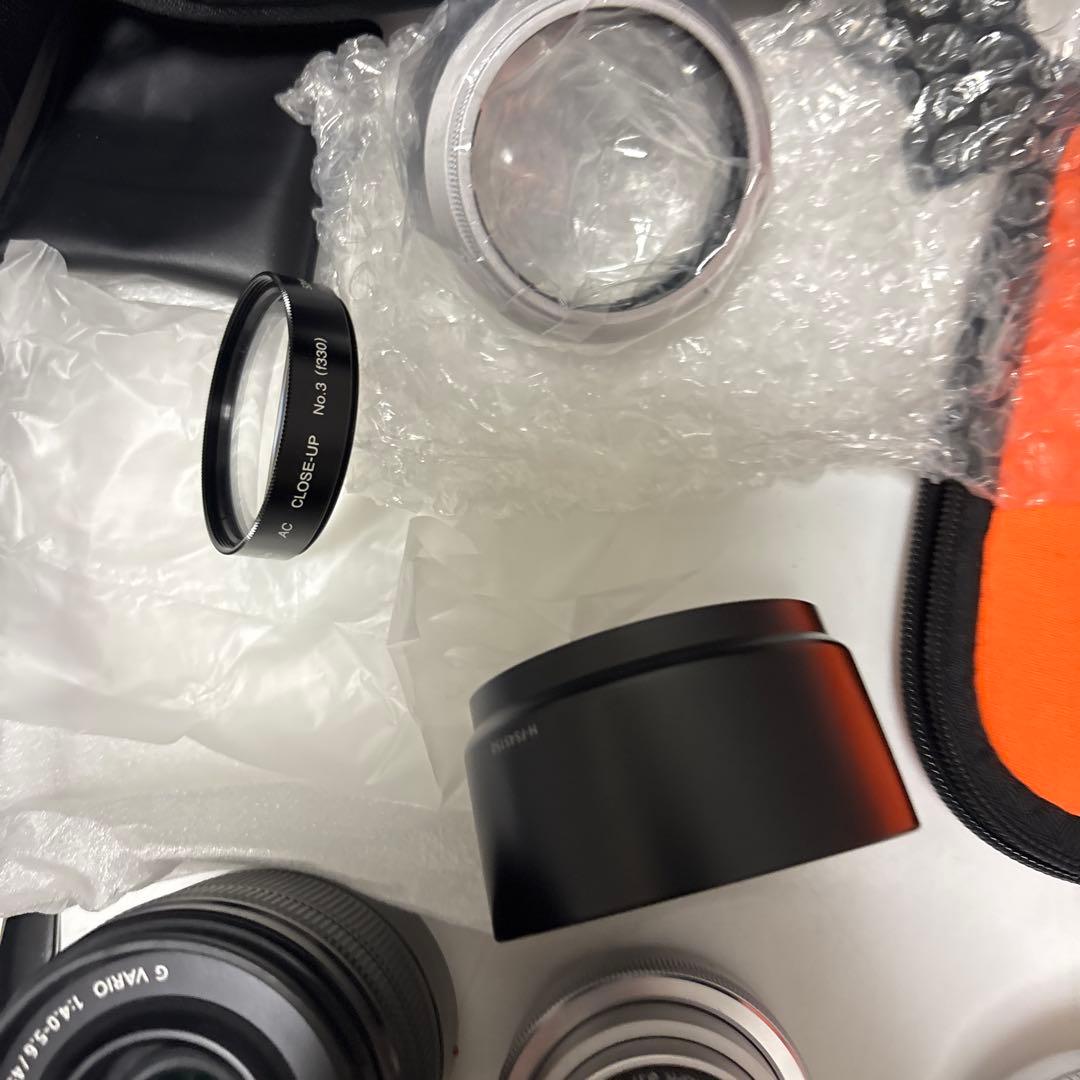 LUMIX G ミラーレス一眼カメラ DC-GF9W ダブルレンズキット+2点