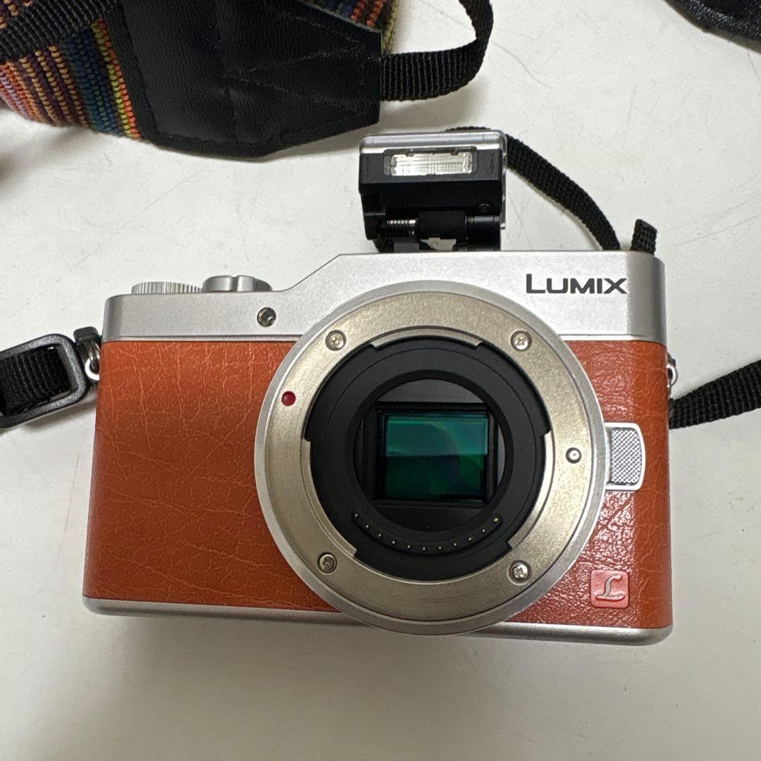 LUMIX G ミラーレス一眼カメラ DC-GF9W ダブルレンズキット+2点