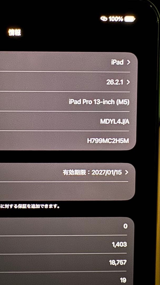 Apple iPad Pro 13inch M5 スペースグレー 512GB