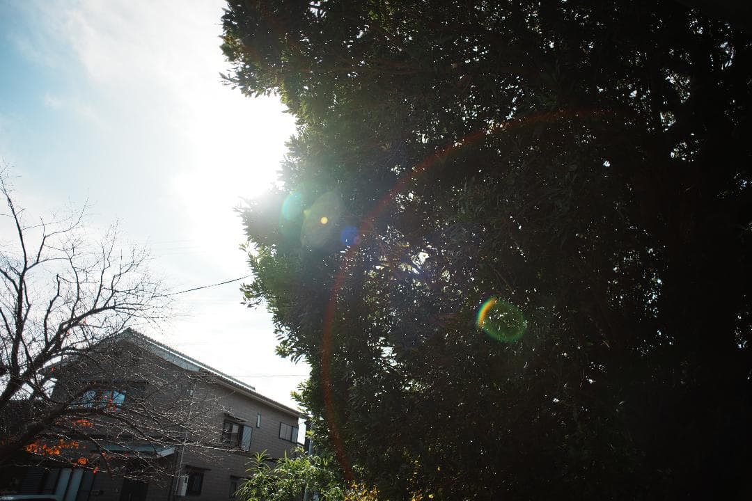 【整備＆テスト済】Canon New FD 24mm F2.8 711