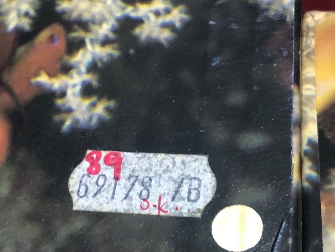 ロレックス　時計ケース　花柄刺繍　希少、ギャランティ