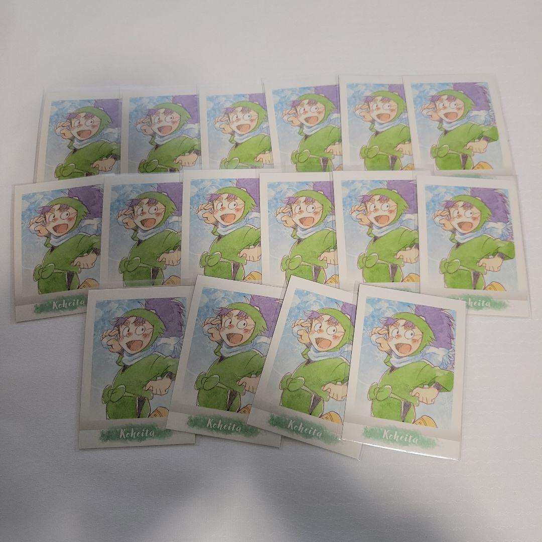 忍たま ぱしゃこれ 七松小平太41枚セット