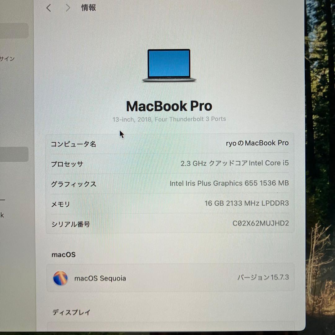 MacBook本体 MacBook Pro 13(2018) Core i5/16GB/256GB