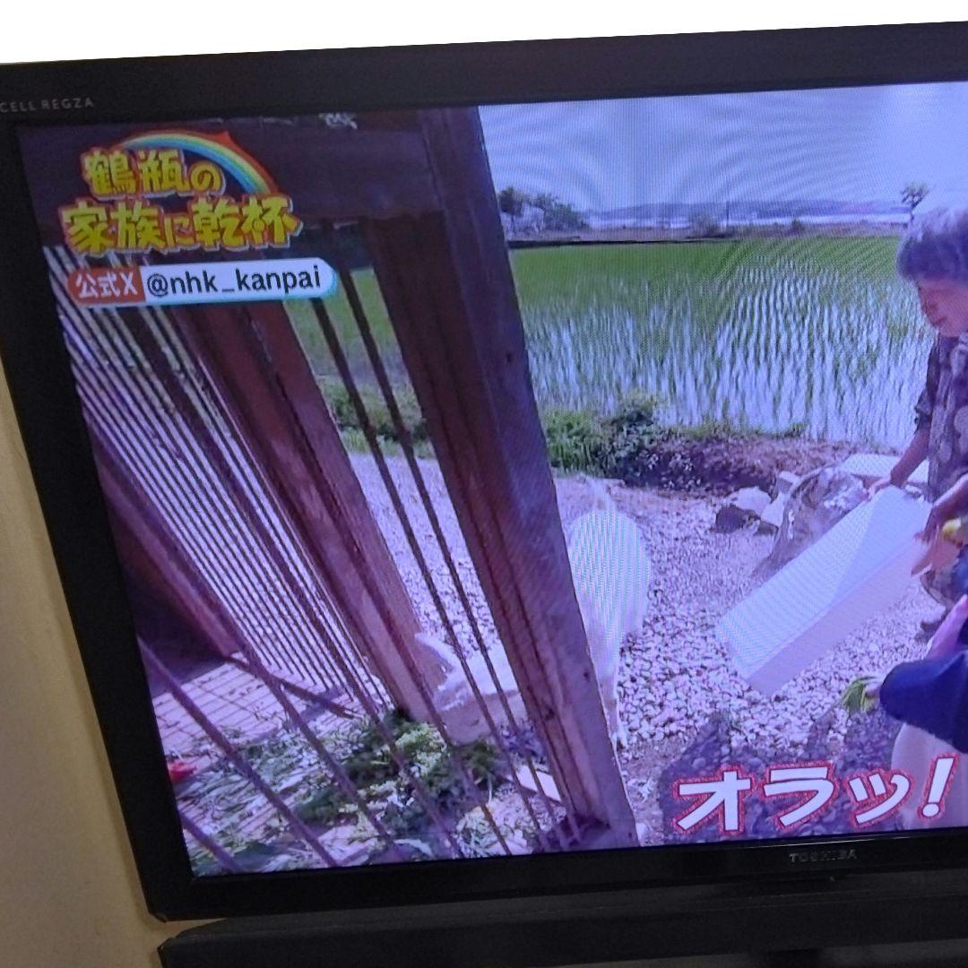 東芝CELLREGZA46XE2　モニター部のみ　46型　TOSHIBAテレビ