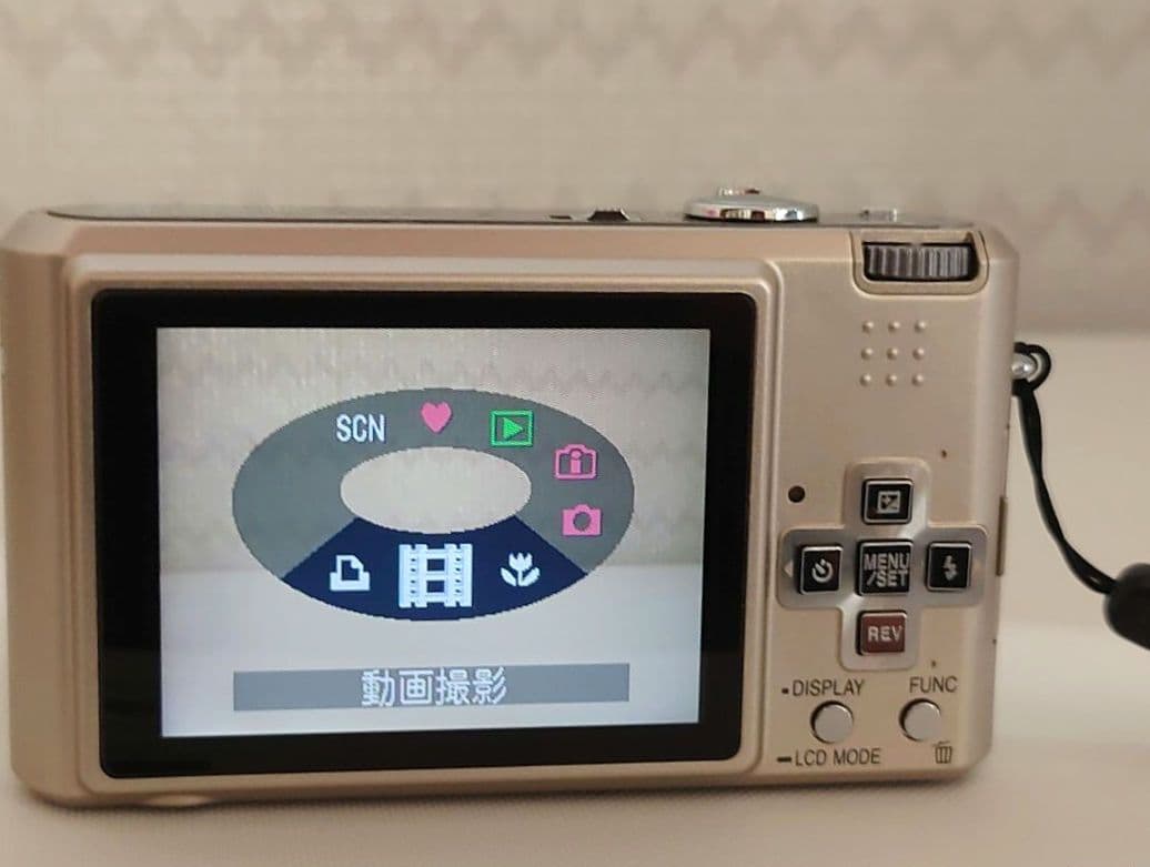 Panasonic LUMIX DMC-FX100 デジタルカメラ【動作確認済】
