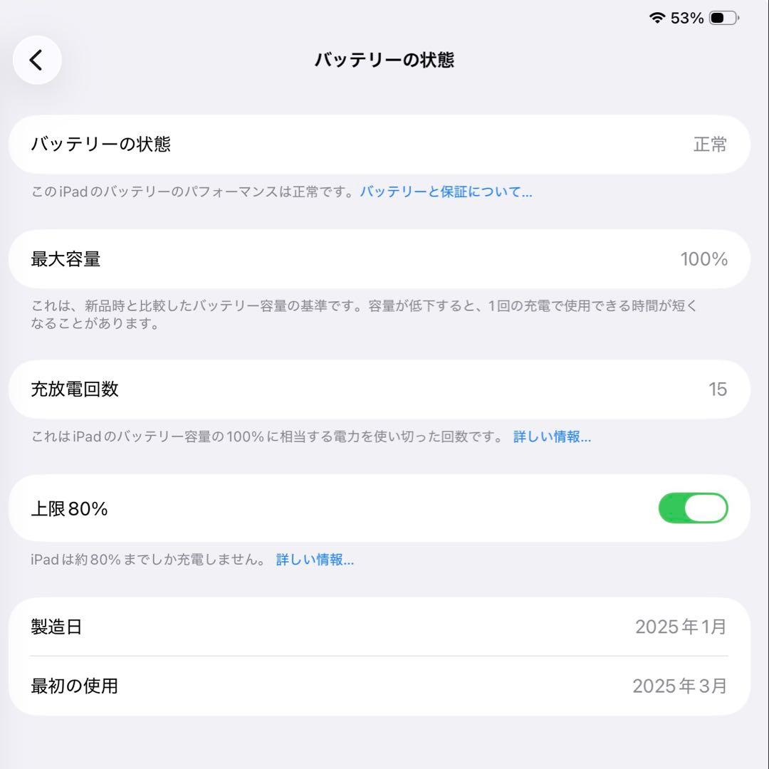 【専用出品】iPad Pro M4 256GB バッテリー最大容量100%
