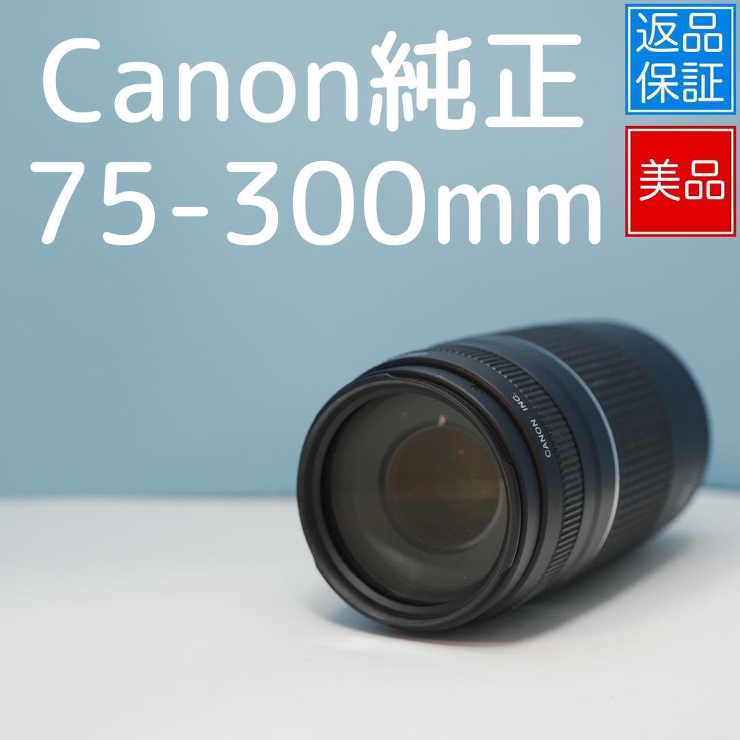 Canon純正 75-300mm 望遠レンズ 美品 a4251