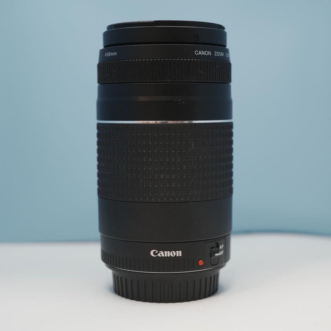 Canon純正 75-300mm 望遠レンズ 美品 a4251