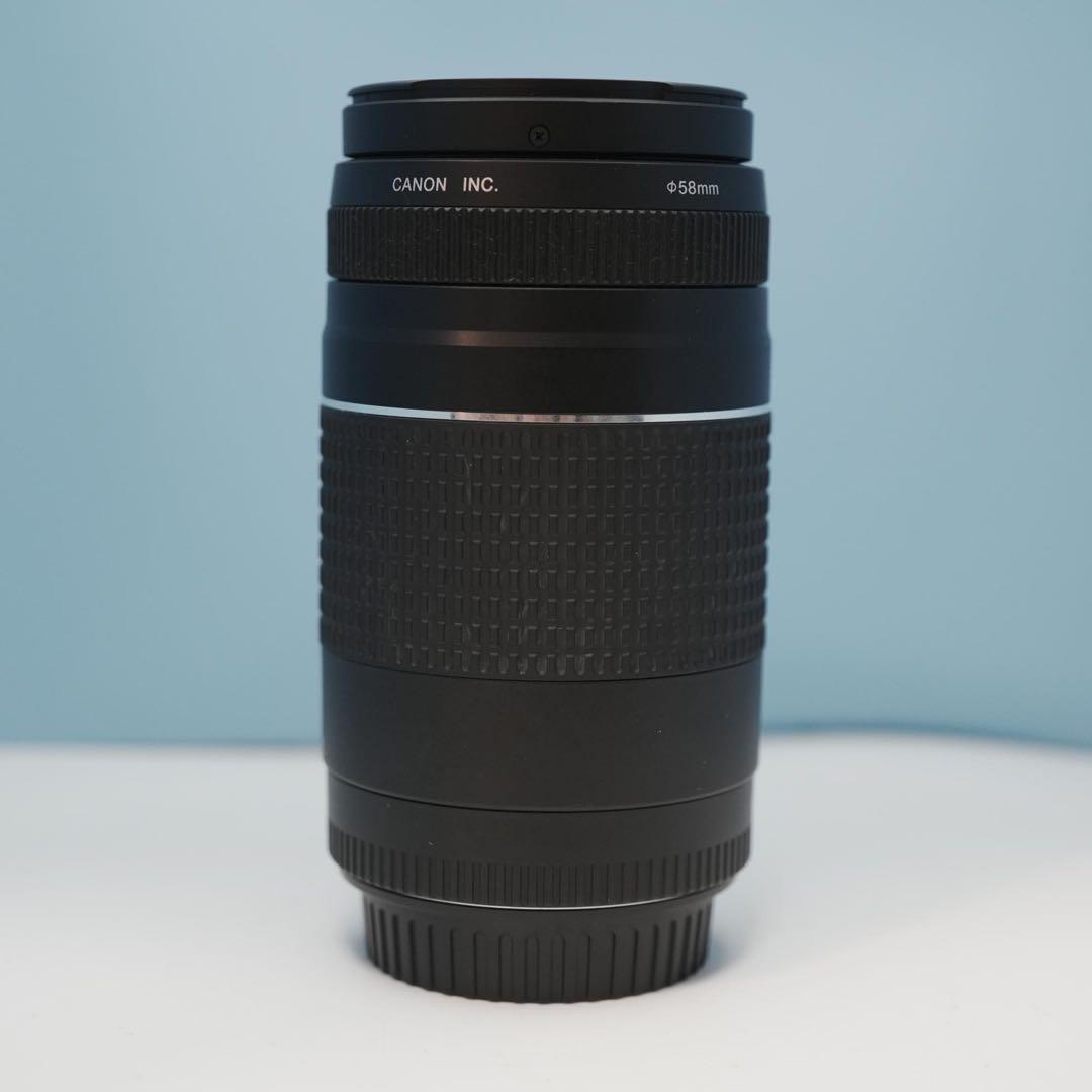 Canon純正 75-300mm 望遠レンズ 美品 a4251