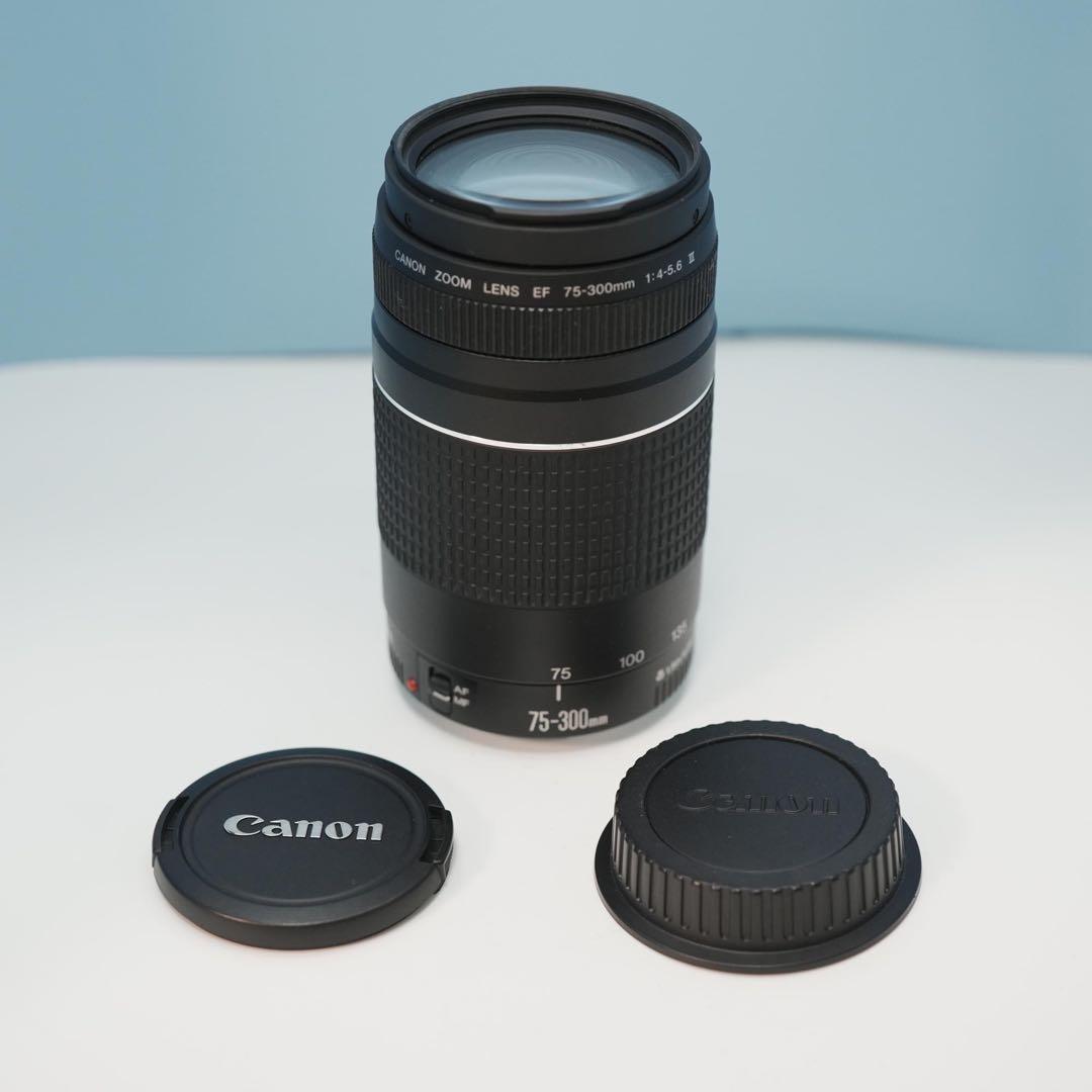 Canon純正 75-300mm 望遠レンズ 美品 a4251