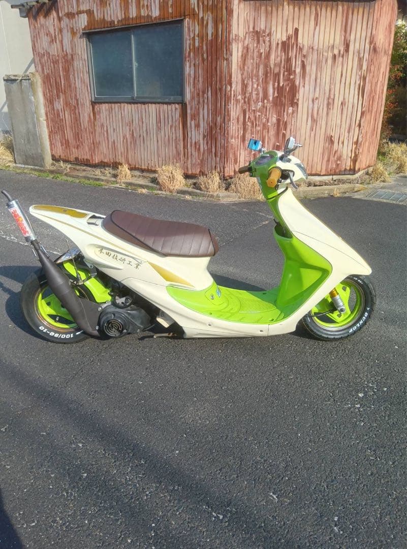 紫紋テール　レイボーテール　yです。