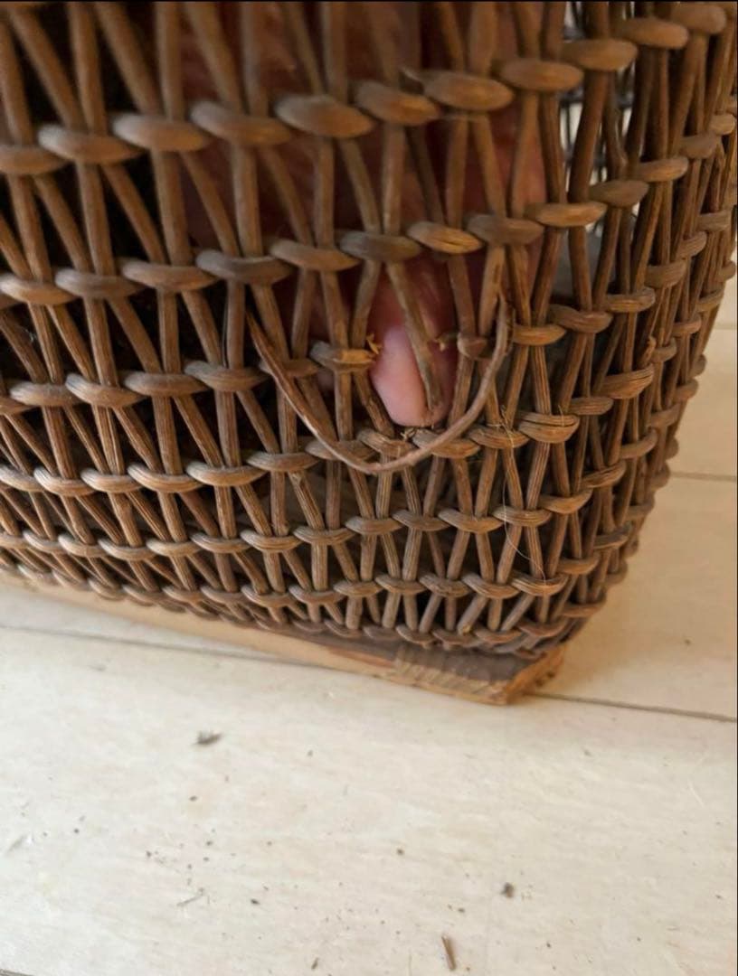 SALE◆ヴィンテージ天然アケビの大きめ籠バック 骨董品 USED◆