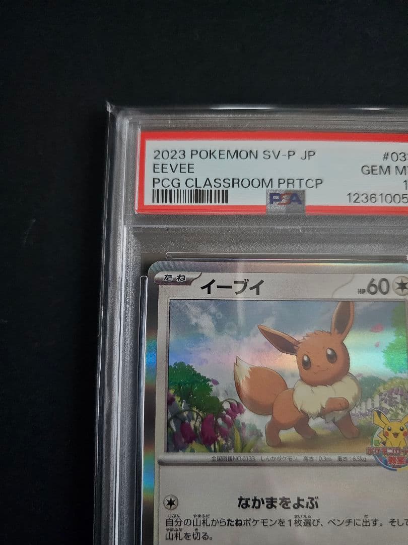 ポケモンカードゲーム　イーブイ　ポケモンカードゲーム教室　PSA10