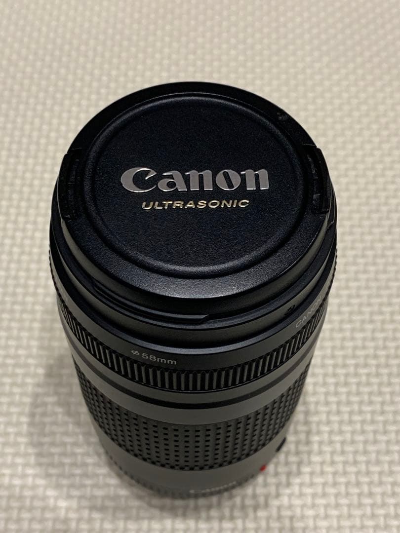 Canon EF 75-300mm F4-5.6 II フード付望遠