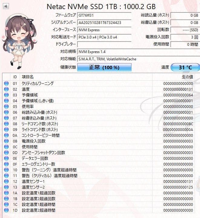 Netac NV3000 M.2 SSD 1TBヒートシンク付 Gen3.0x4