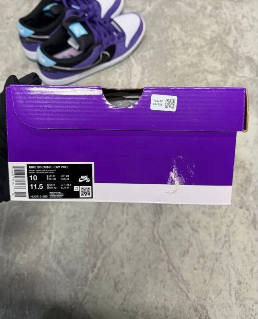 Hayley Wilson × Nike SB Dunk Low ヘンリー