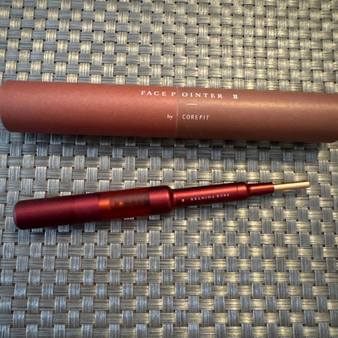 【サラリンさん専用】 フェイスポインターⅡ