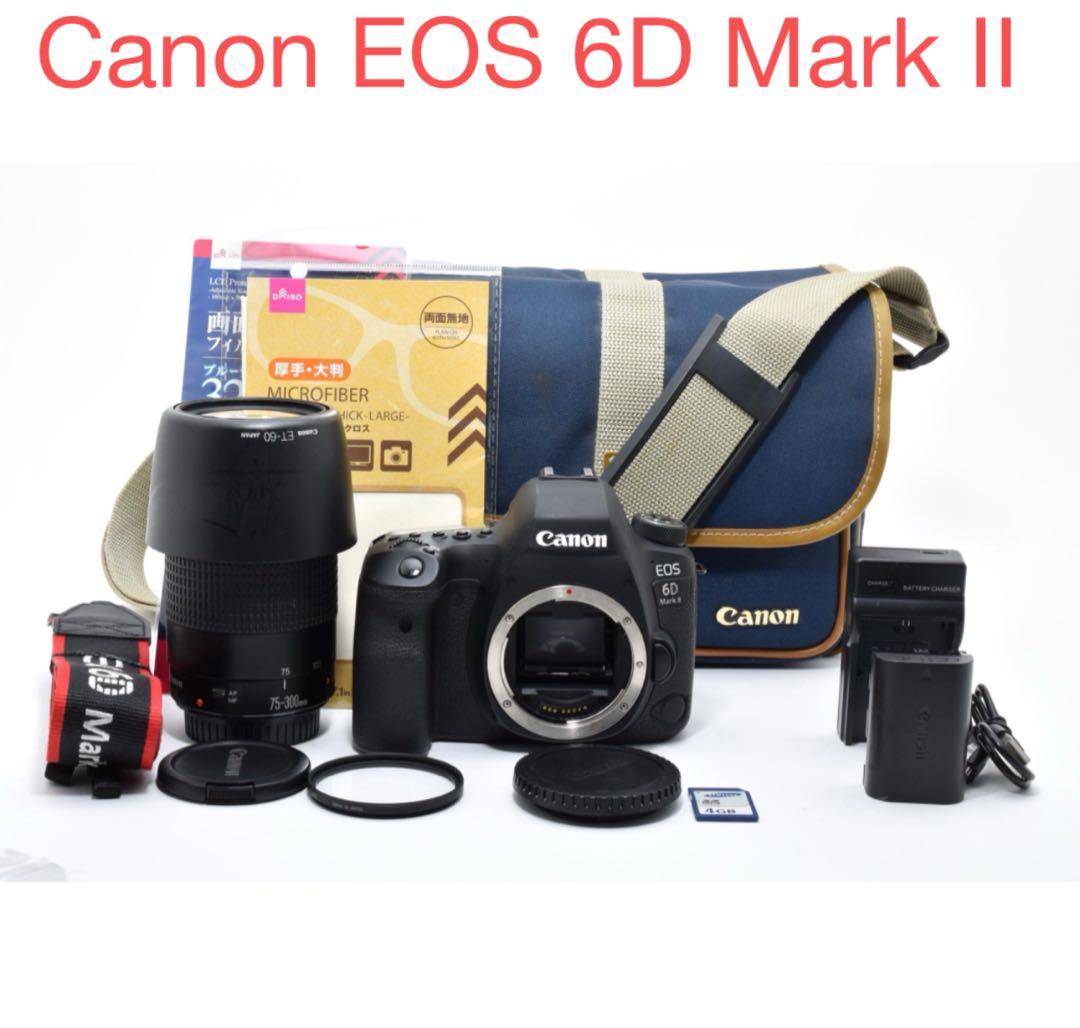 デジタルカメラ Canon EOS 6D Mark II / Canon EF75-300mm
