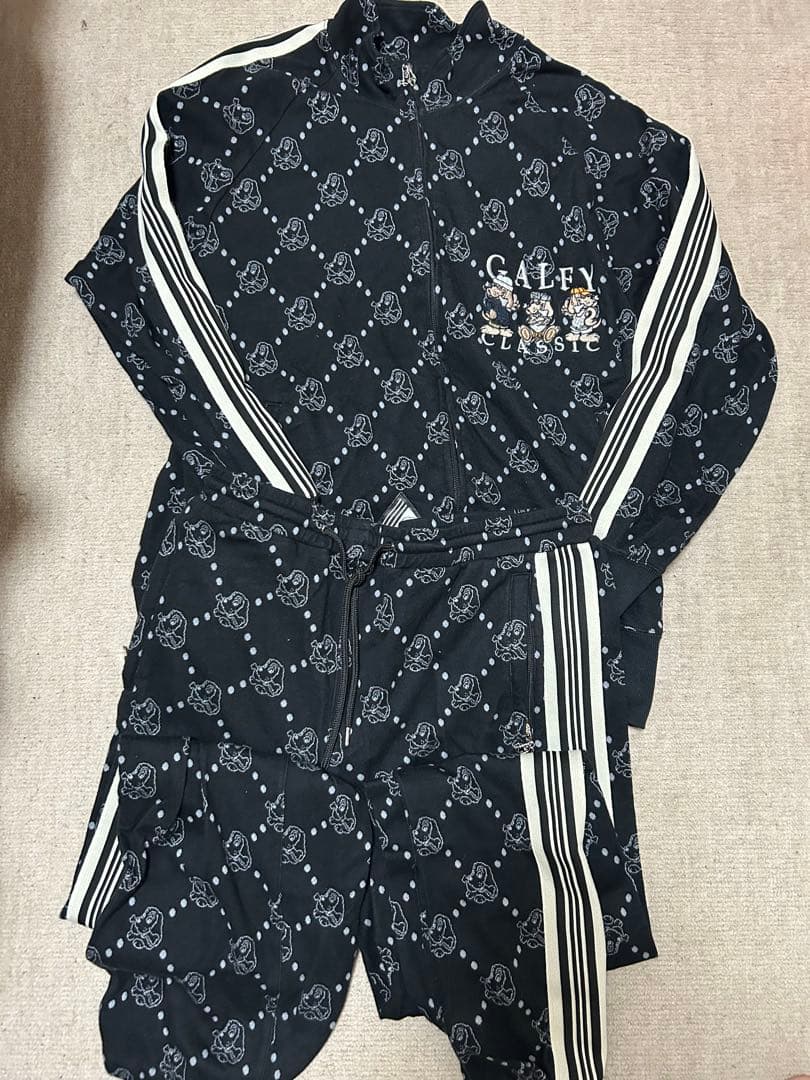 ガルフィー　セットアップ