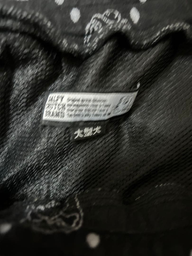 ガルフィー　セットアップ