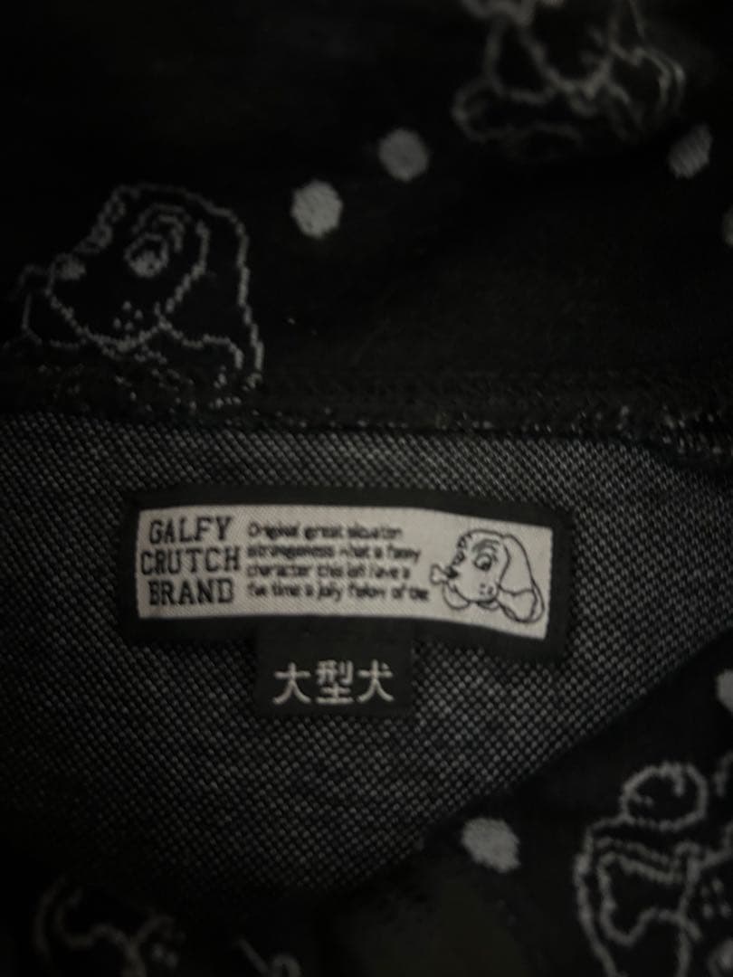 ガルフィー　セットアップ