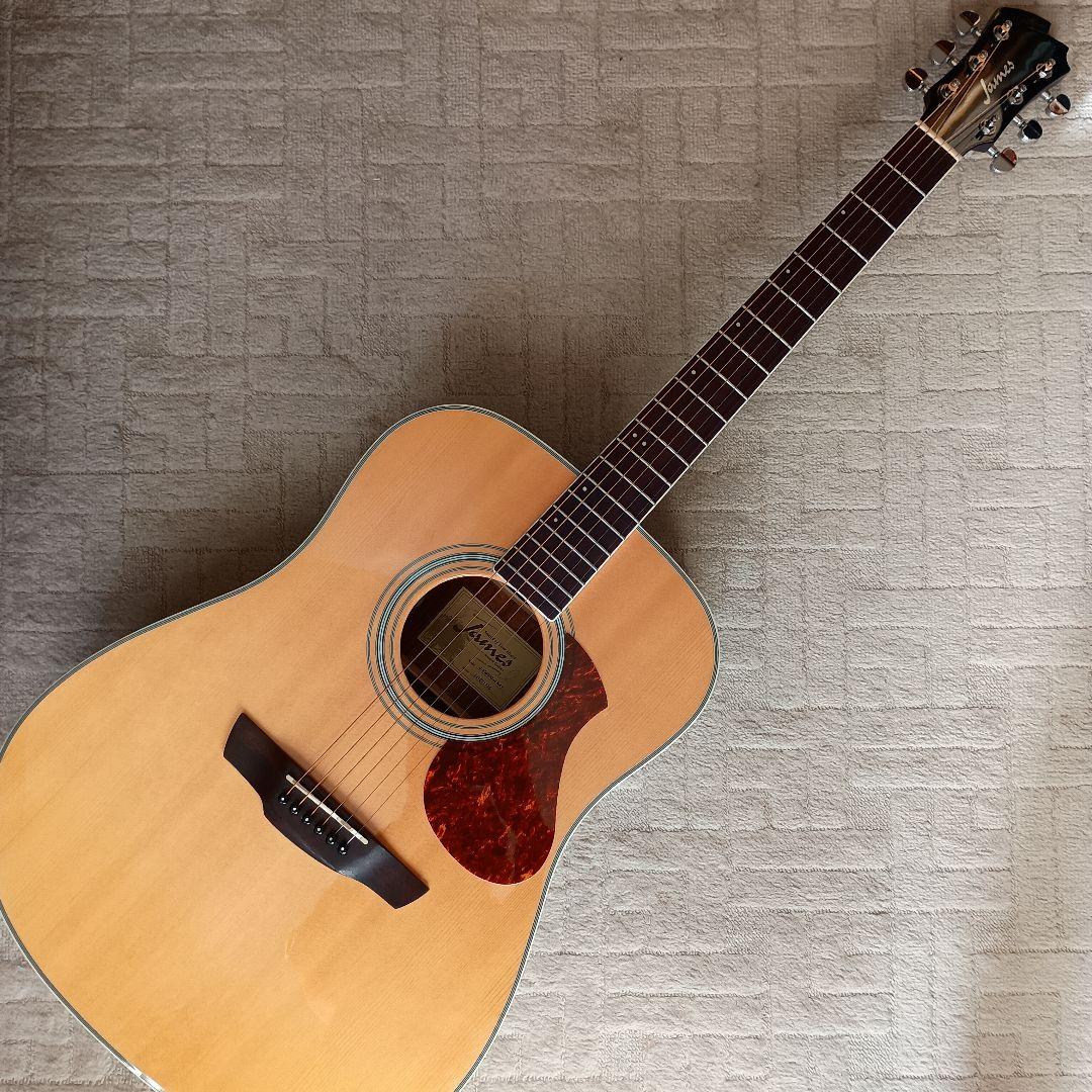 [エレアコ]James J-450D/Ova NAT アコースティックギター