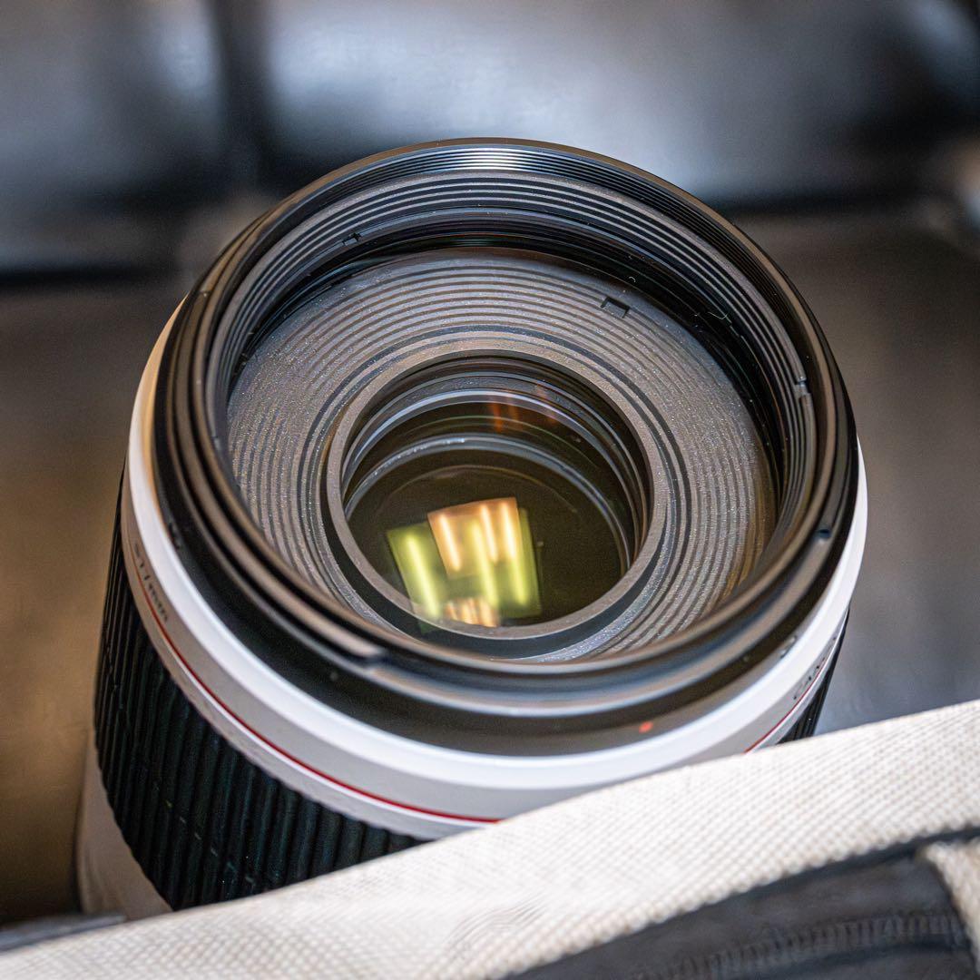 レンズ(ズーム) Canon EF100-400mm f4.5-5.6L IS II USM