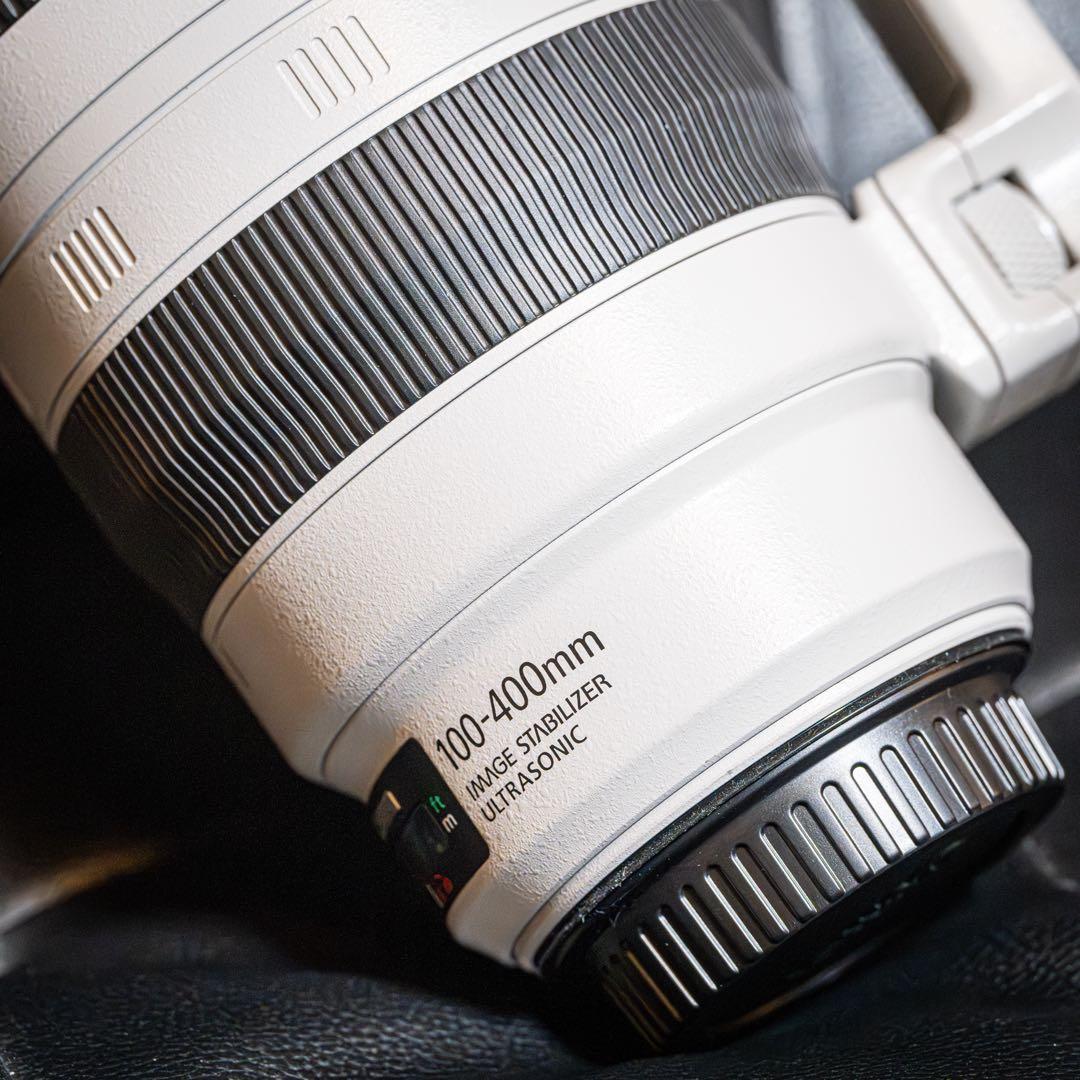 レンズ(ズーム) Canon EF100-400mm f4.5-5.6L IS II USM