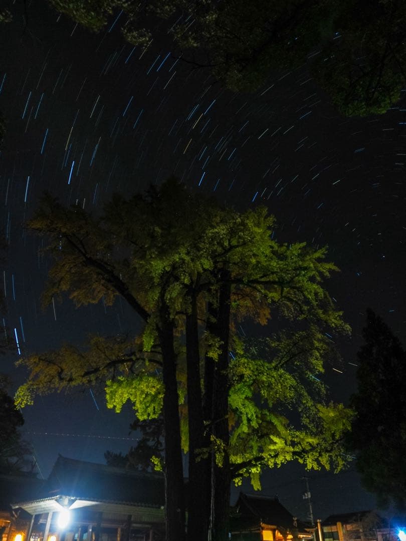 OLYMPUS E-M1X ミラーレスカメラ 本体とバッテリー