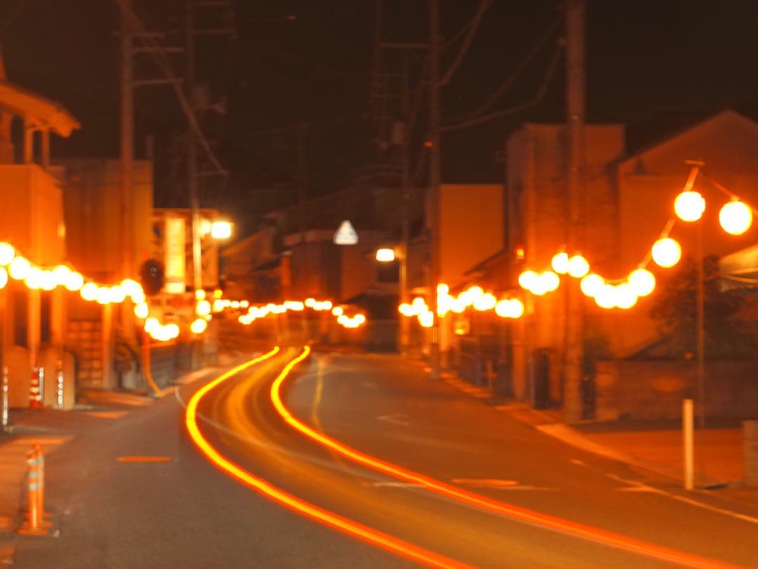 OLYMPUS E-M1X ミラーレスカメラ 本体とバッテリー