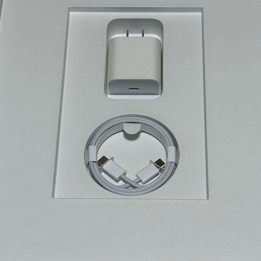 iPadPro12.9インチ（第4世代）256GB スペースグレイ Wi-Fi