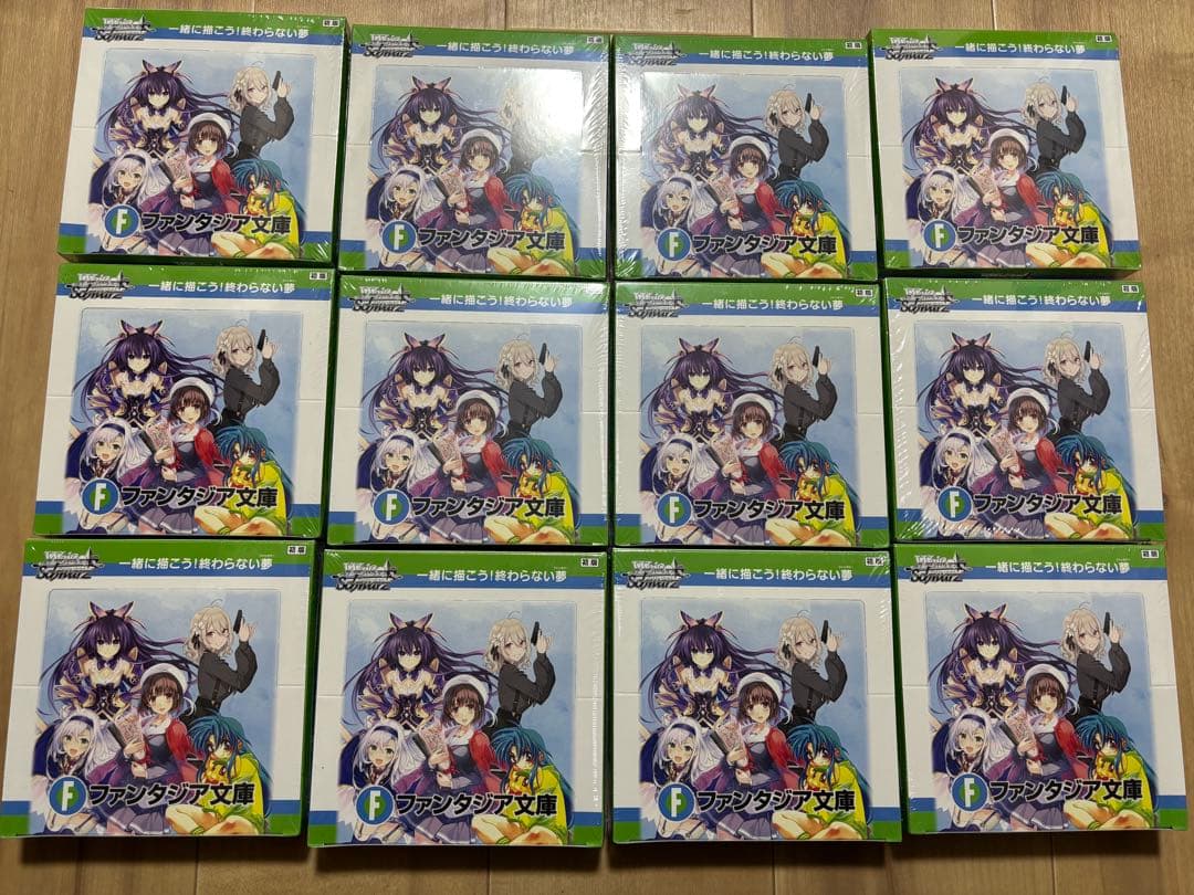 シュリンク付き　未開封　12BOX 富士見ファンタジア文庫 ヴァイスシュヴァルツ