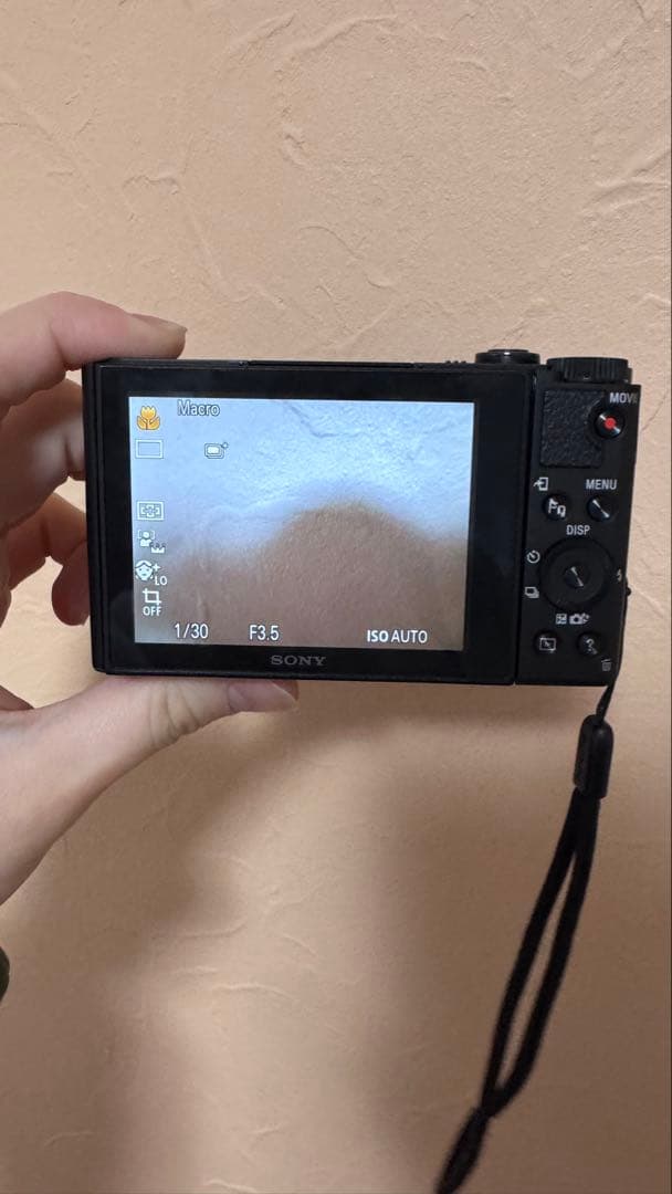 SONY DSC-WX500バッテリー 充電器付き