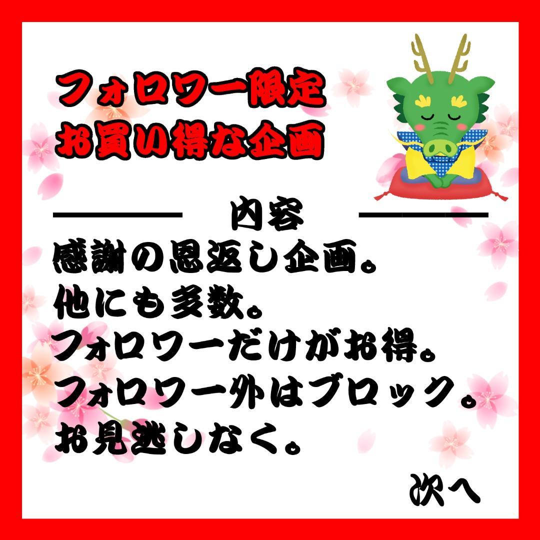 【フォロワー限定300円企画】遊戯王 OCG カード 2枚セット 青眼の白龍