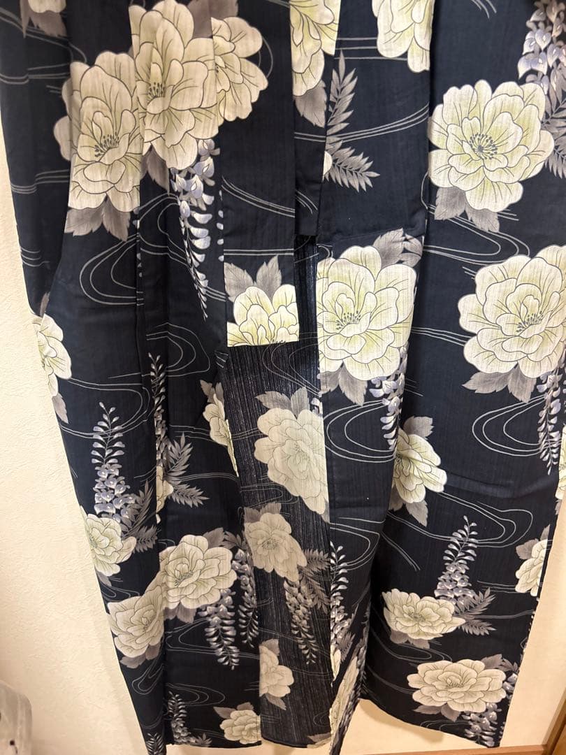 dita 【凪の藤ながれ】5点セット 大人気 オーガンジー 付き