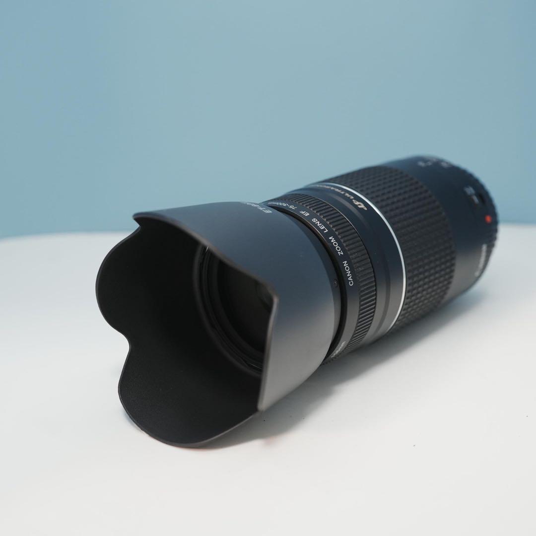 Canon純正 75-300mm 望遠レンズ 美品 a3953