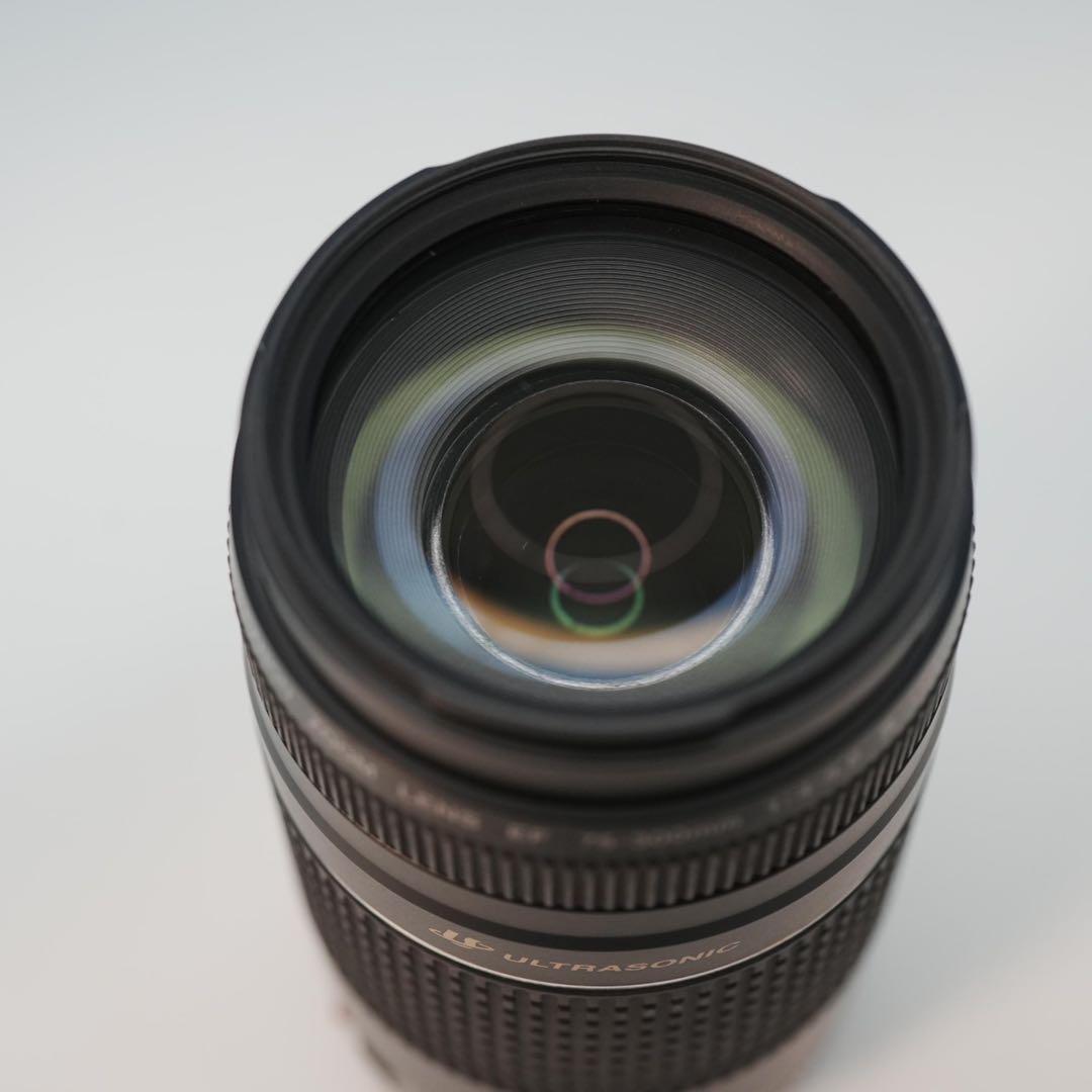 Canon純正 75-300mm 望遠レンズ 美品 a3953