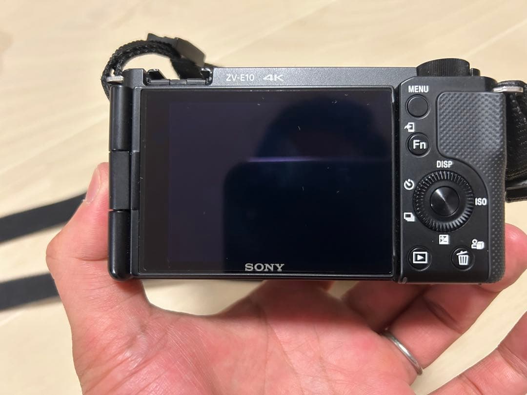 ※はと　SONY ZV-E10ミラーレスカメラ