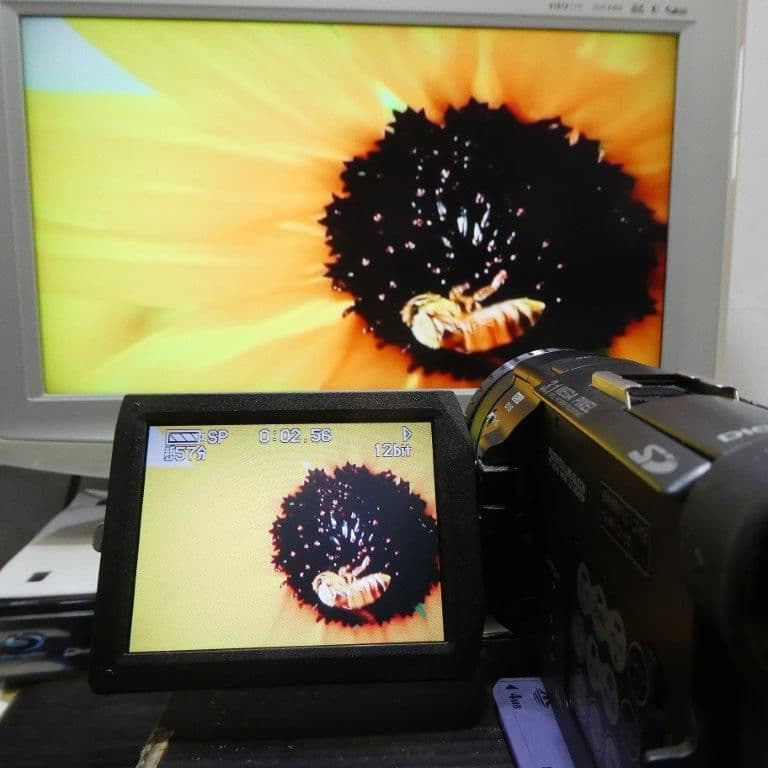 美品・動作良好 パナソニックNV-GS100 MiniDVビデオ DVD化に最適