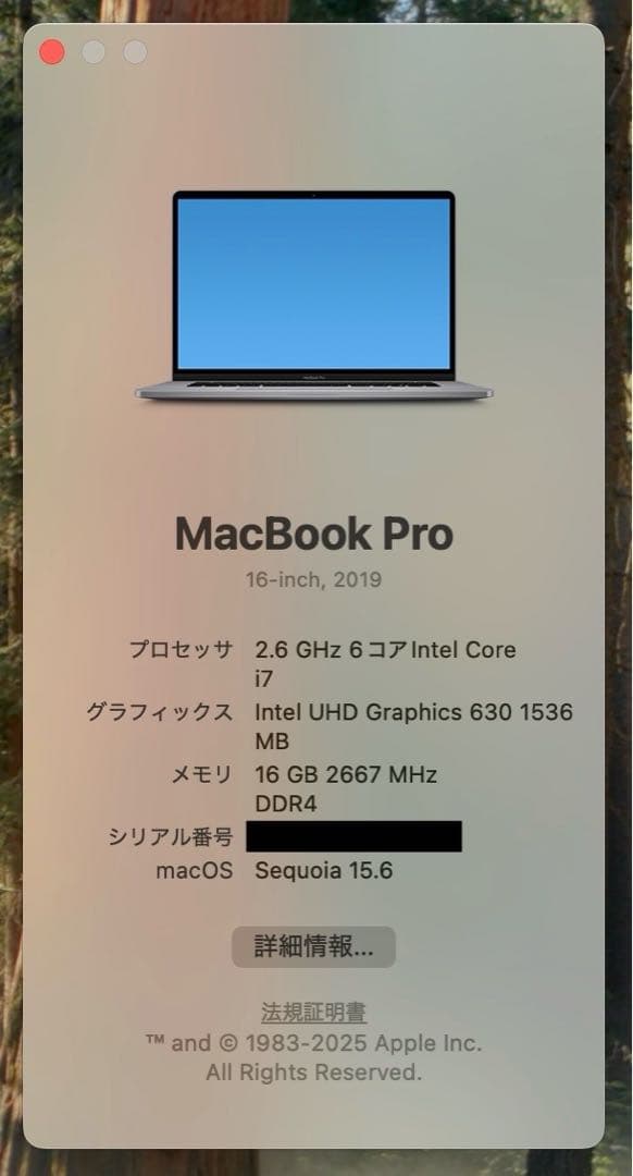 Apple MacBook Pro 16インチ 2019 512GB 16GB