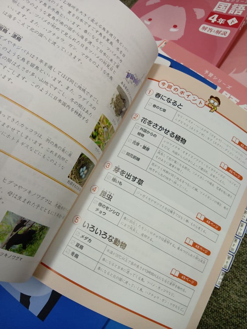 状態良　書き込み解答ほぼ無　四谷大塚4年　国算理社/上下　中古2022年使用