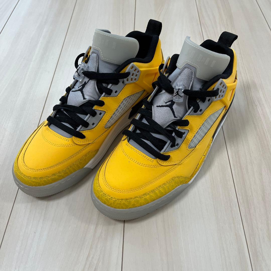 新品未使用 NIKE ジョーダン スパイジーク LOW 28cm 紐付