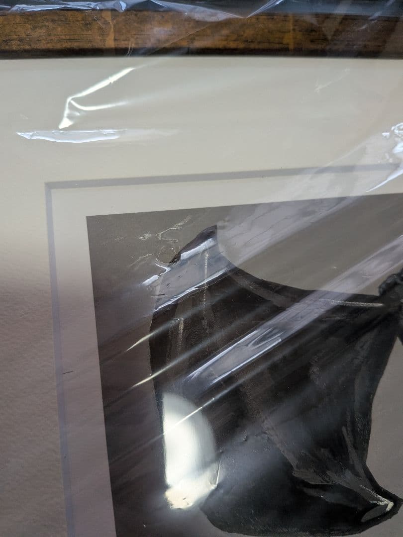 ドロヘドロ直筆サイン入り複製原画（限定50）