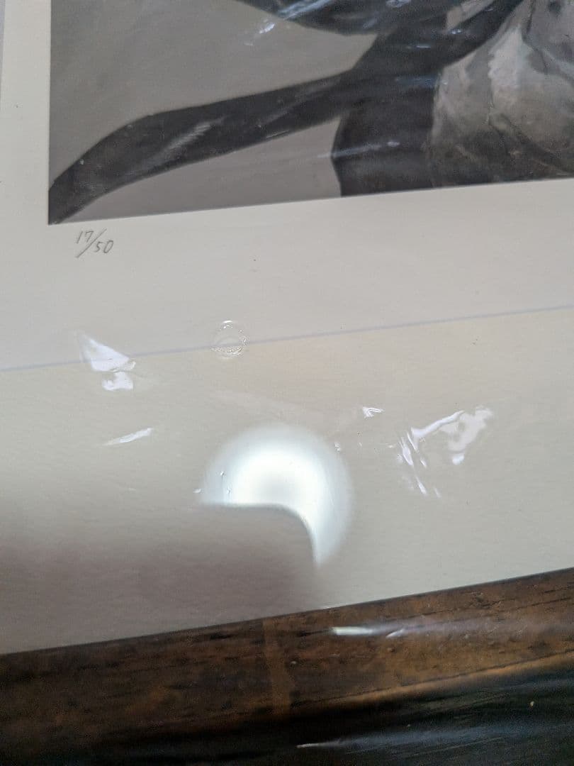 ドロヘドロ直筆サイン入り複製原画（限定50）