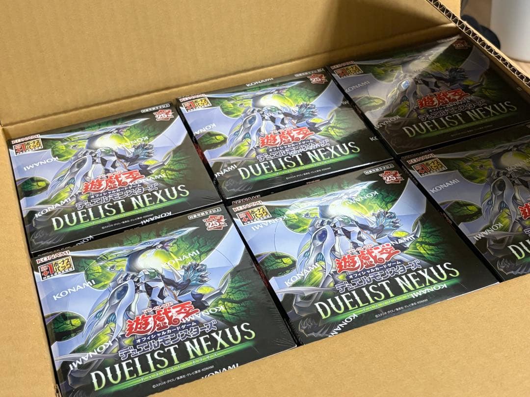 遊戯王OCG DUELIST NEXUS 1カートン24box