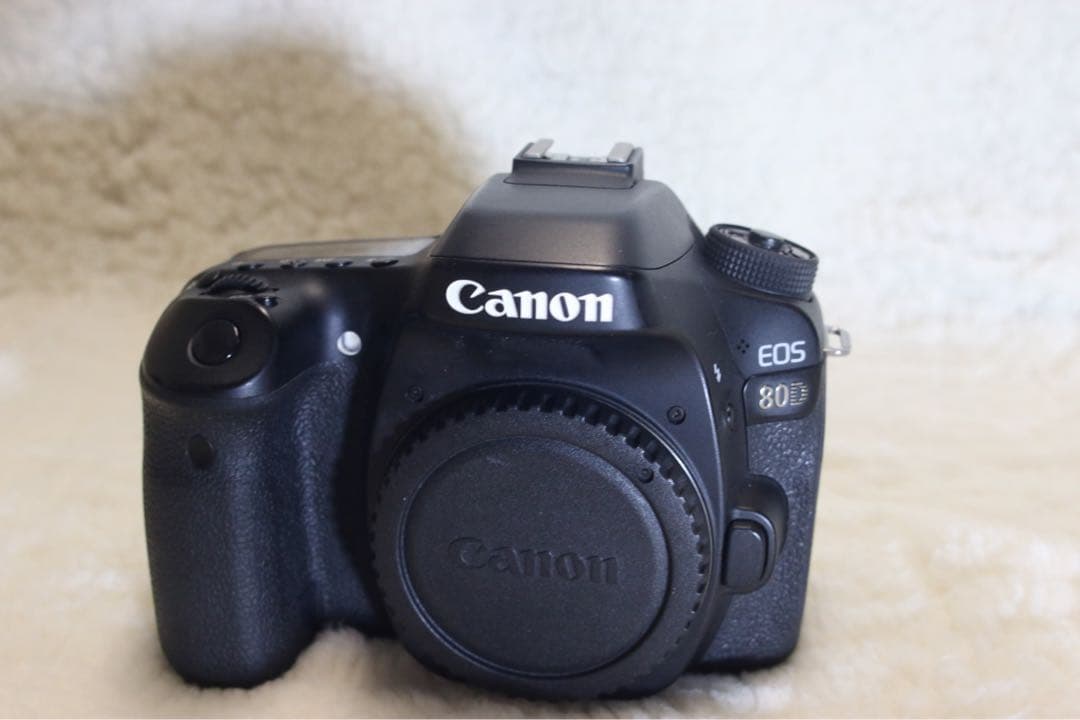 Canon EOS 80D ボディ　ジャンク